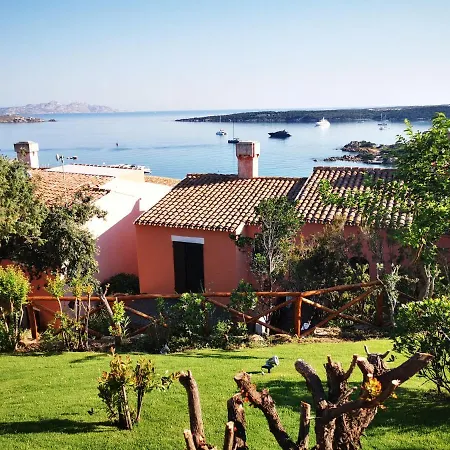 Tea Costa Smeralda - *