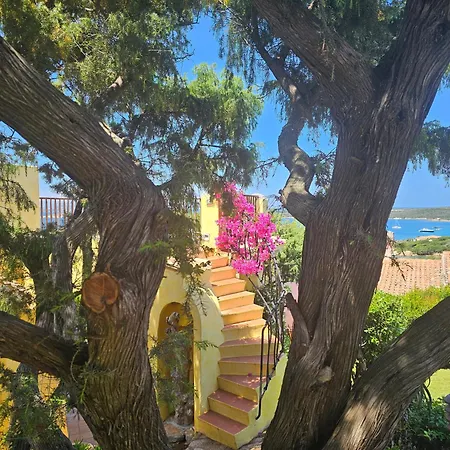 Дом отдыха Tea Costa Smeralda -